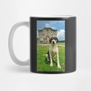 Cute Dog Posing Outdoors in Summer Mug
